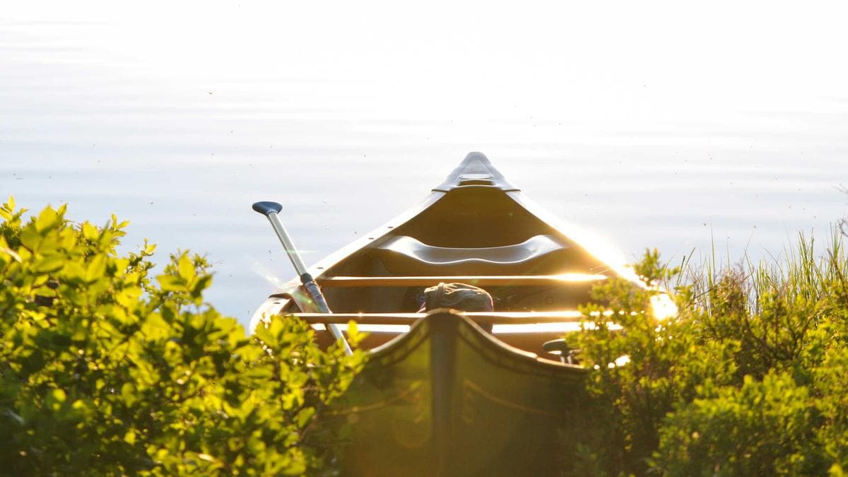 Barrierefreies Webdesign (Accessibility) als Wettbewerbsvorteil 2026