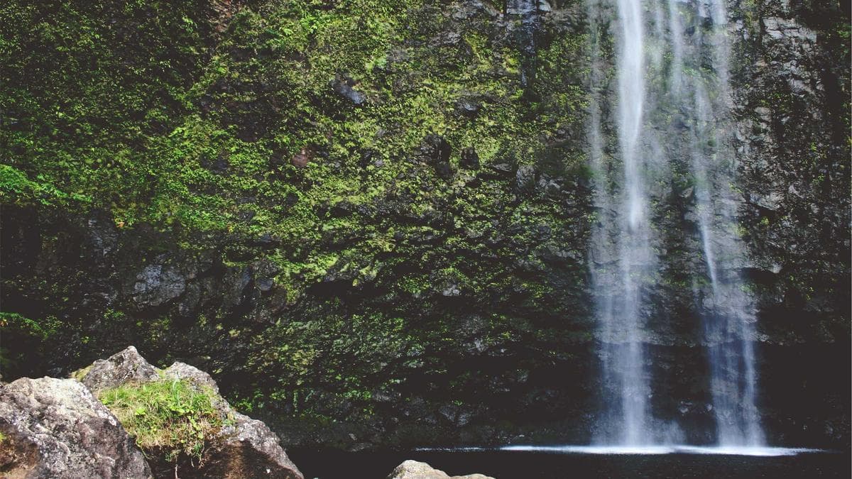 Edge Computing & CDNs: So eliminieren Sie Latenzen in globalen Web-Projekten