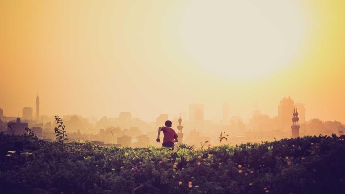 Growth Marketing vs. Traditioneller Vertrieb: Ein Kulturkampf im B2B