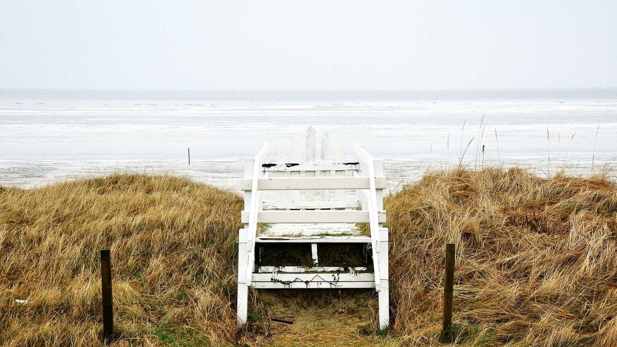 Inhouse vs. Agentur: Die echte Kostenwahrheit im B2B-Marketing