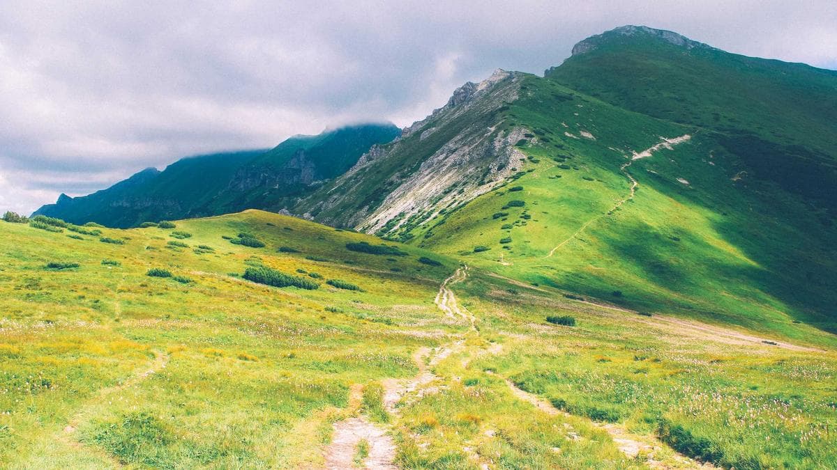 Mobile-First im B2B: Warum Desktop-First eine teure Illusion ist