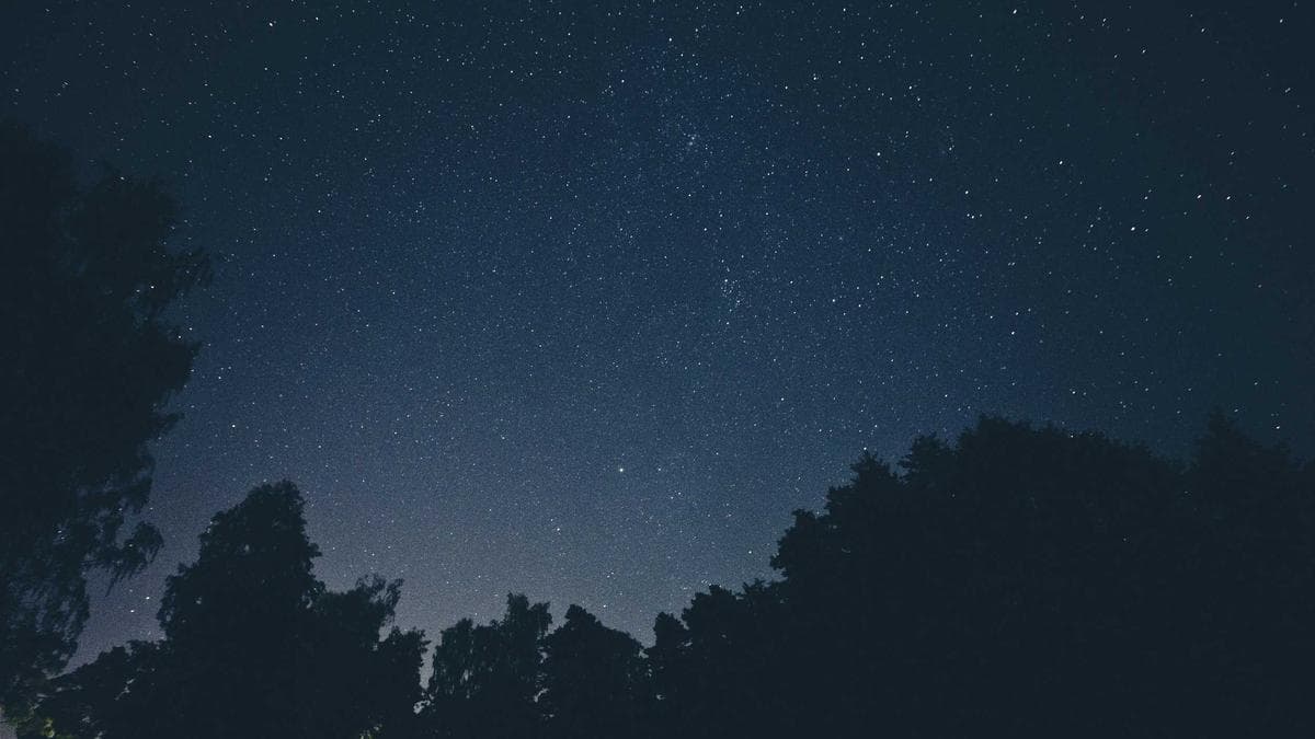 Warum Unternehmen 2026 keine langsame Website mehr haben dürfen