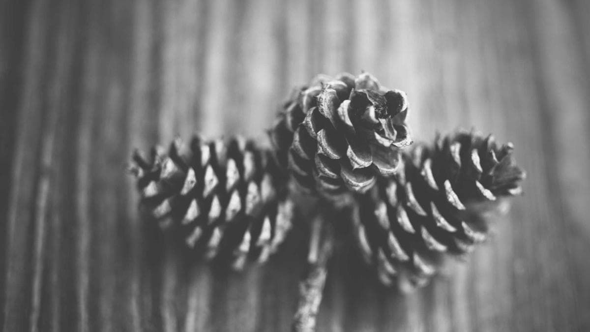 Website-Relaunch ohne Rankingverlust: Die wichtigsten Schritte