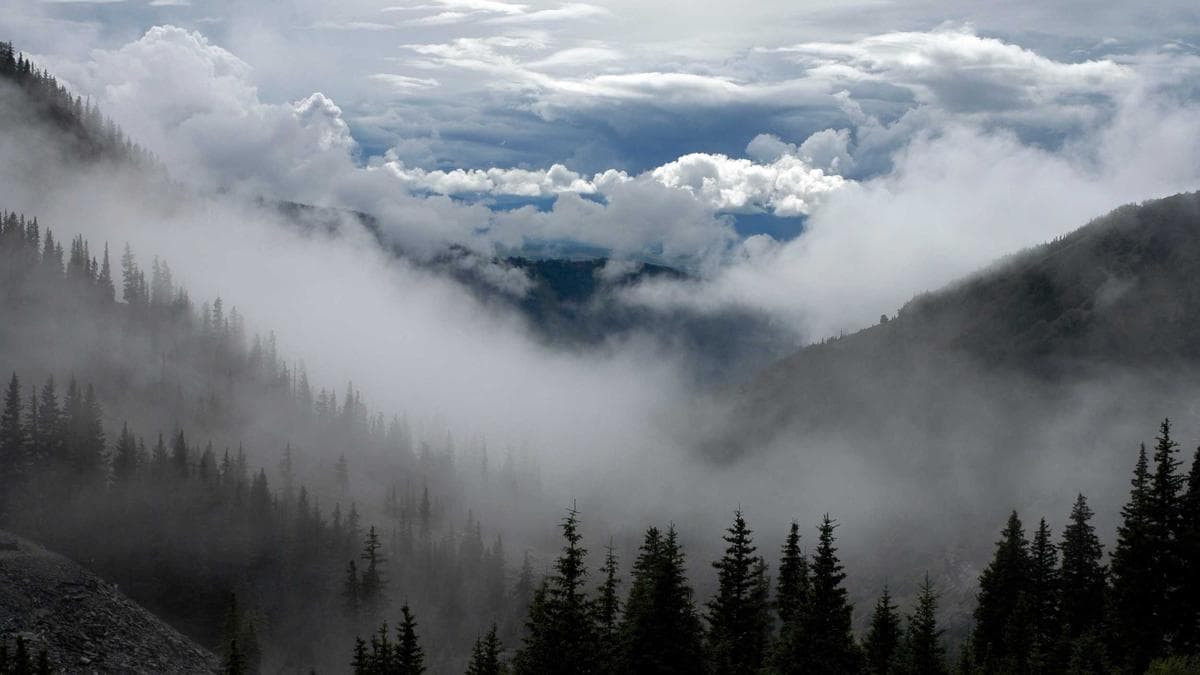 SEO-Grundlagen für Unternehmen: Mehr organische Kunden in 3 Schritten