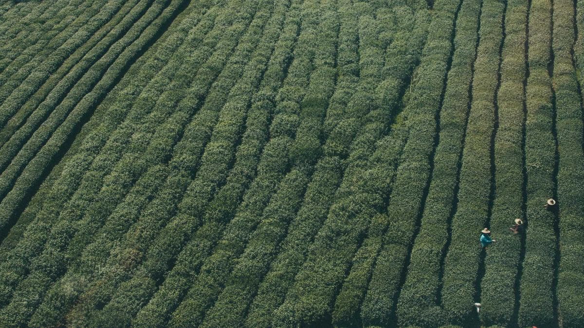 UX-Testing mit kleinen Budgets: Wie Sie herausfinden, warum Ihre Seite nicht verkauft