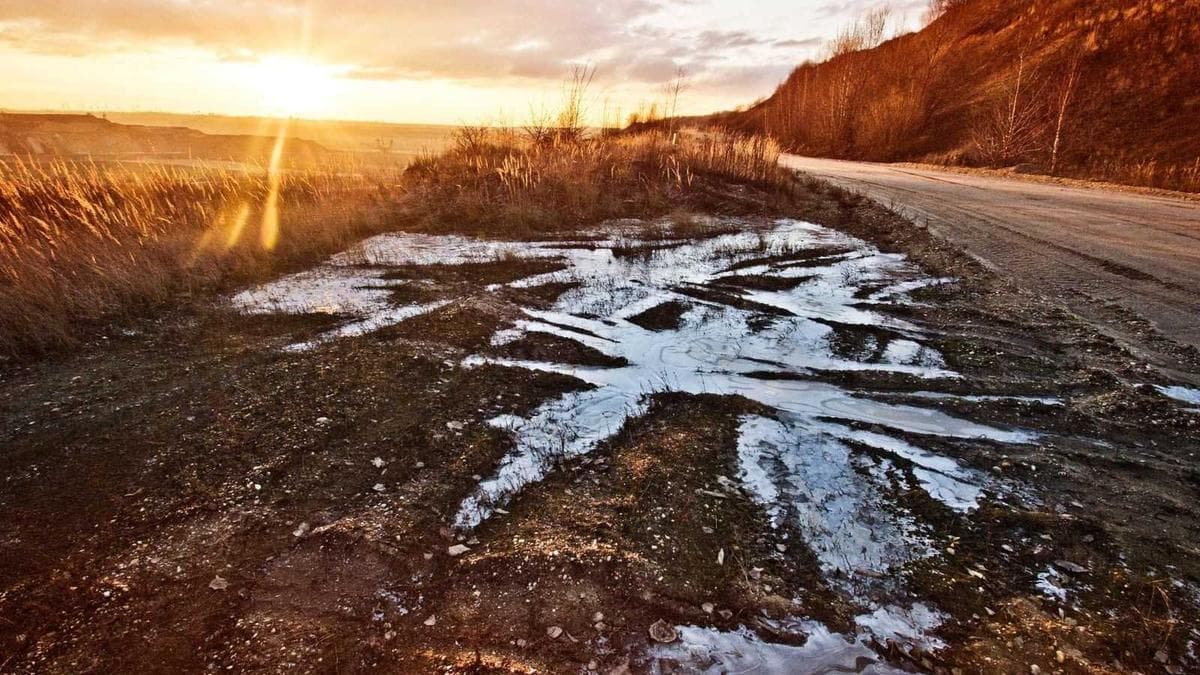 Webdesign-Trends 2026: Die 5 wichtigsten Entwicklungen für deine Unternehmenswebsite