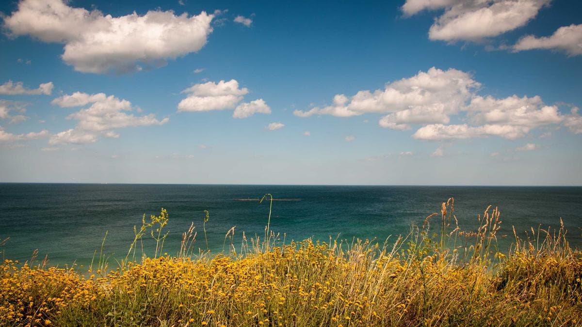 SEO Starter Guide für Unternehmen