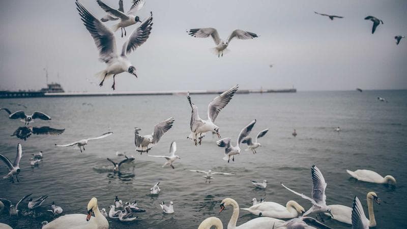 Screenshot – Rettungsalarm