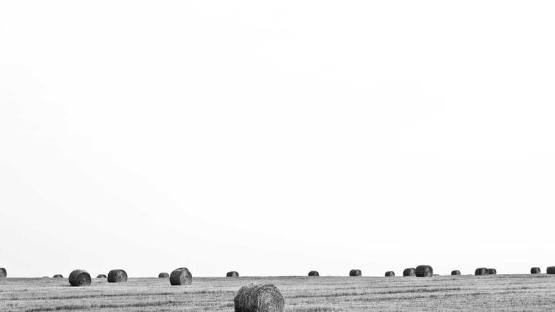 Screenshot – Spielbauer & Co. Gebäudetechnik GmbH